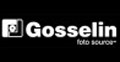 Logo du commerçant Gosselin
